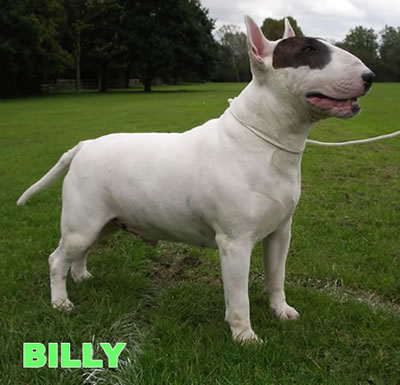 Billy